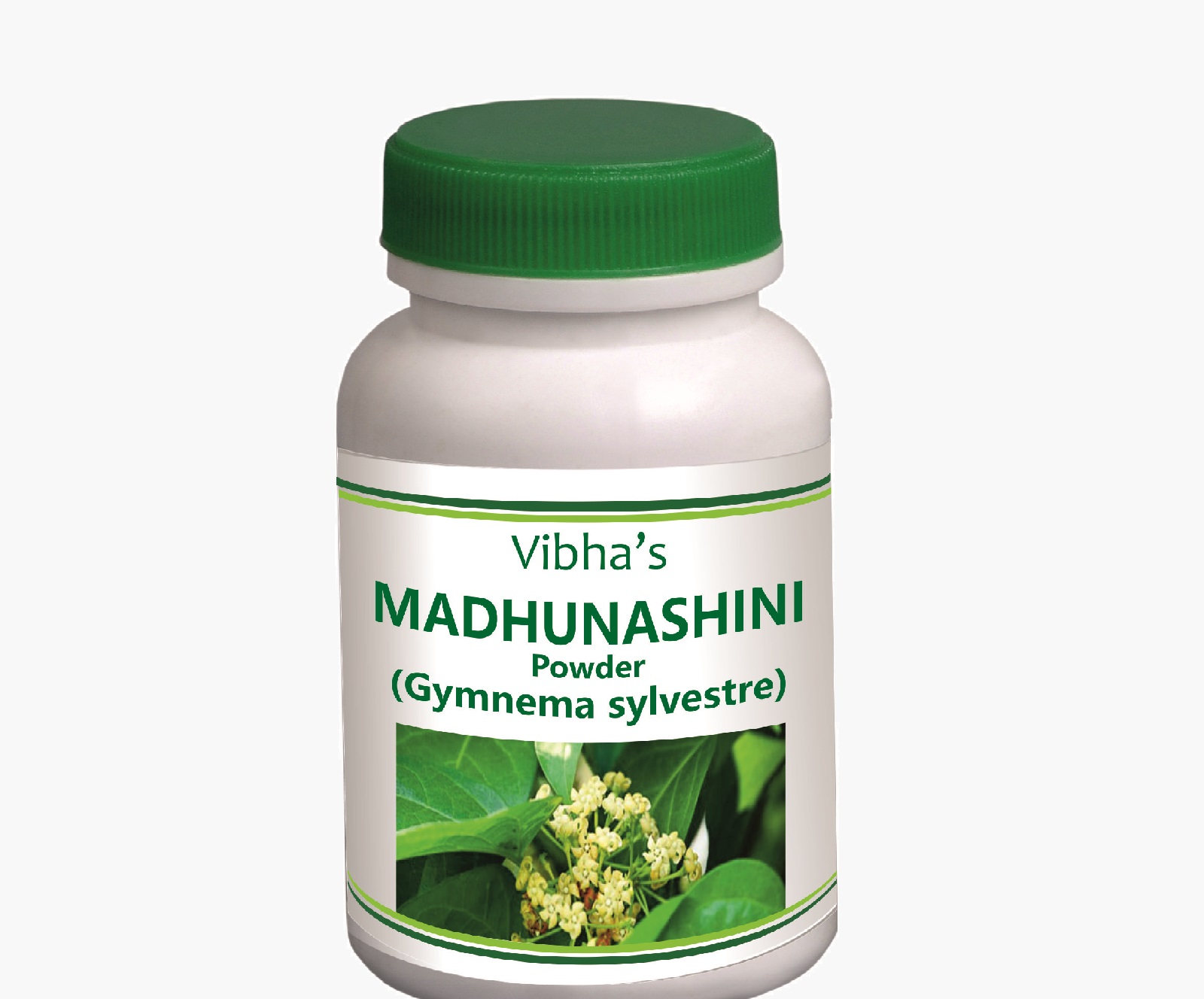 Madhunashini Powder 
