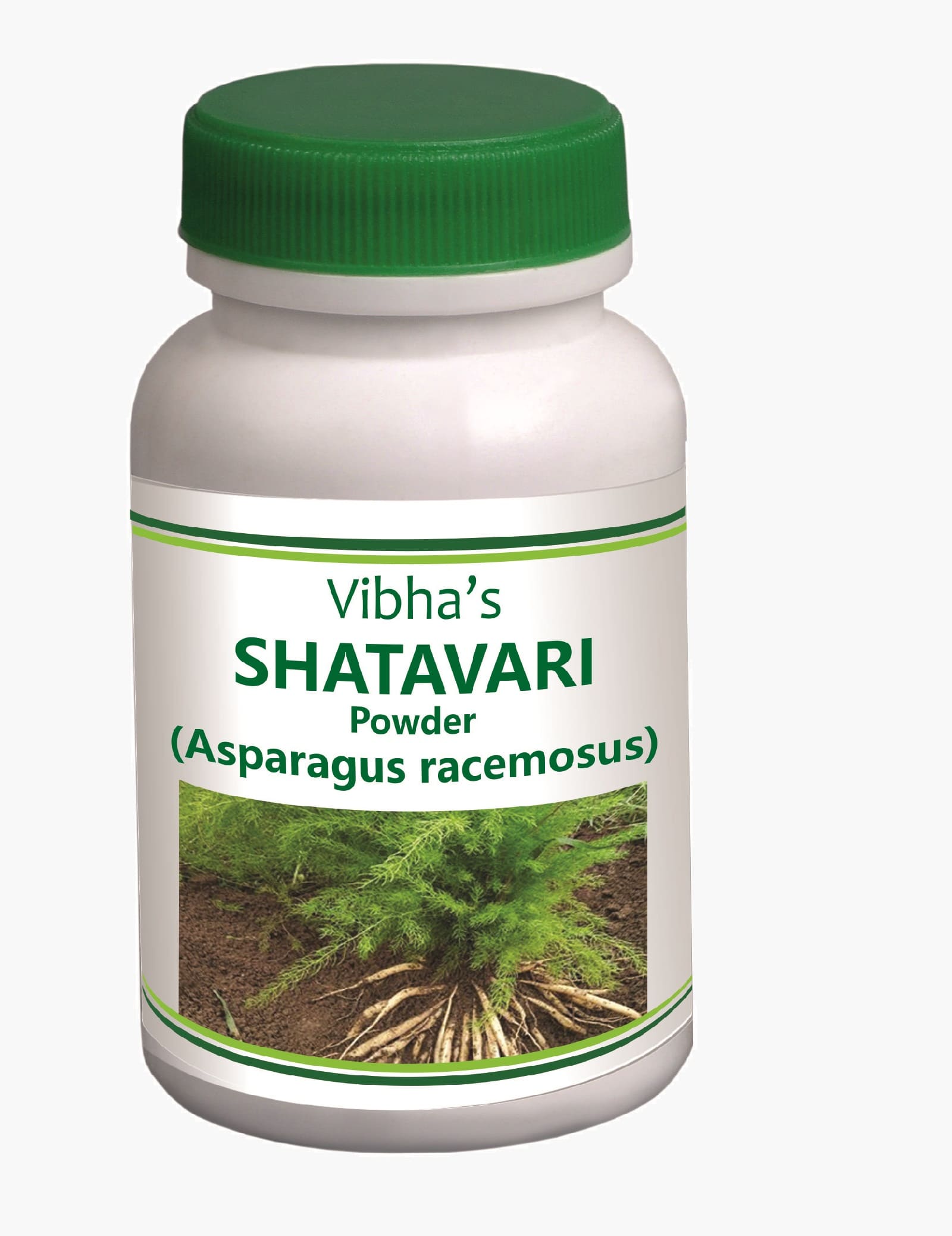 Shatavari Powder 