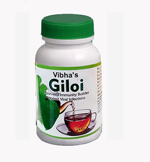 giloi-t